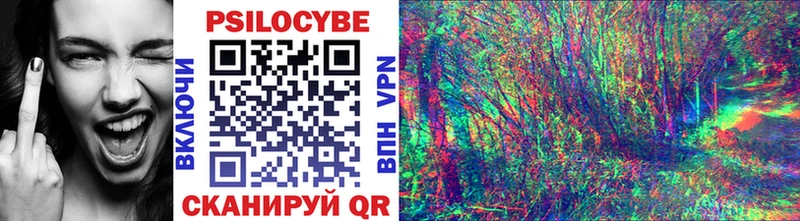 Псилоцибиновые грибы мицелий Купить закладки Балей